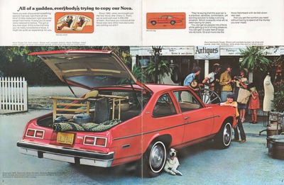 1977 Chevrolet Nova (Rev)-02-03.jpg